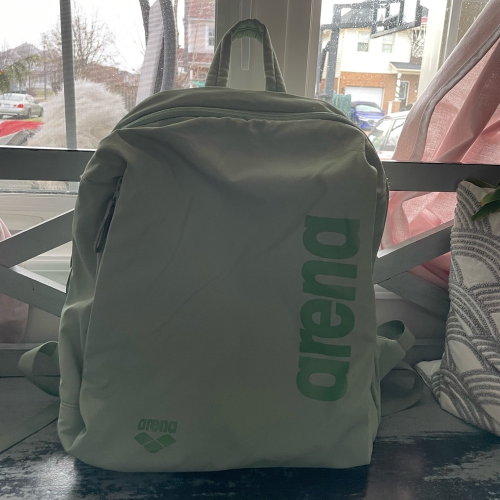 Arena Men's Green Backpack